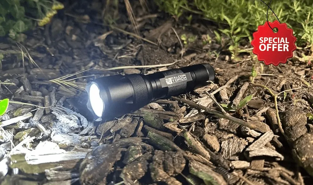 FalconTorch