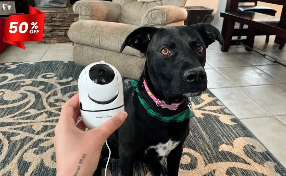 SeeMyPetCam